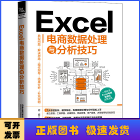Excel电商数据处理与分析技巧