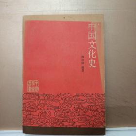 中国文化史  下册