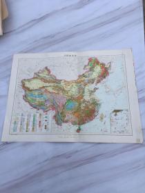 中国地质图 1张