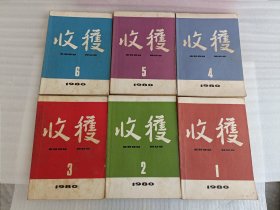 收获 1980全年1-6期【有黄斑】实物拍图