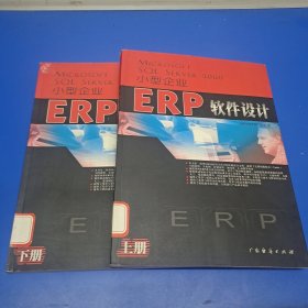 小型企业ERP软件设计 (上下册)