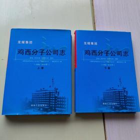 龙煤集团鸡西分子公司志（1986-2010年） 上下2册合售  精装本【571顶】