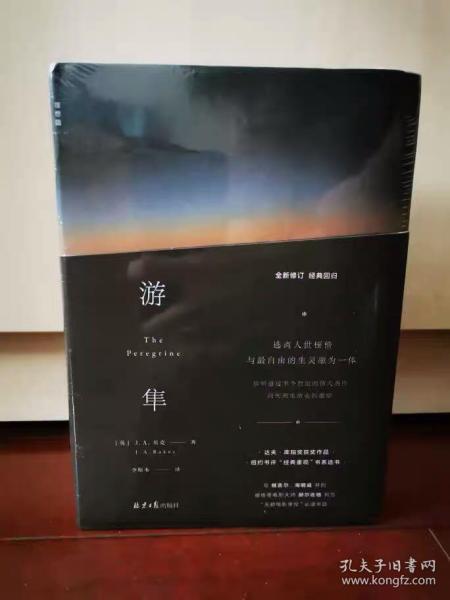 游隼