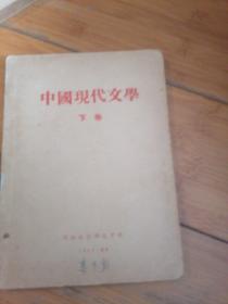 中国现代文学（下卷）