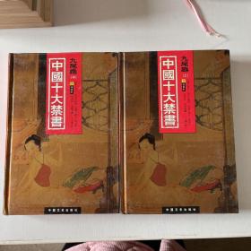 中国十大禁书： 《九尾龟》上  中     2本