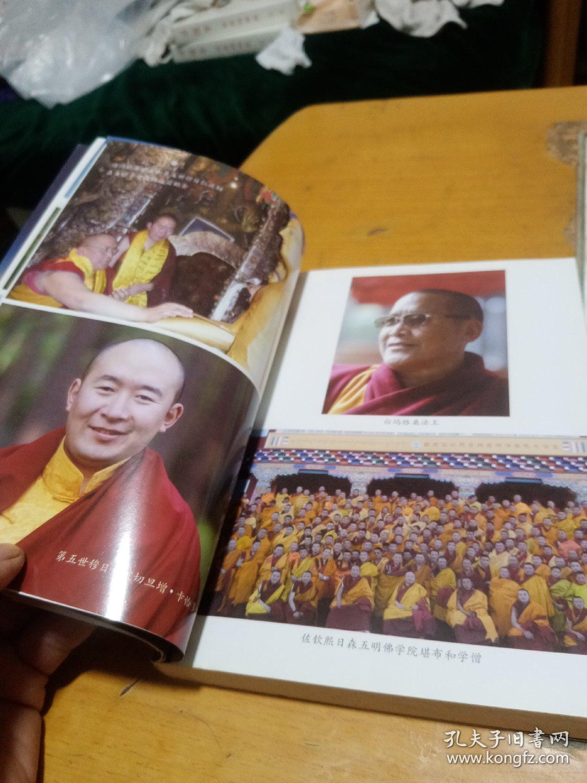 生死的幻觉,_白玛格桑仁波切,著_孔夫子旧书网