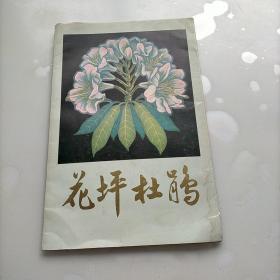 花坪杜鹃