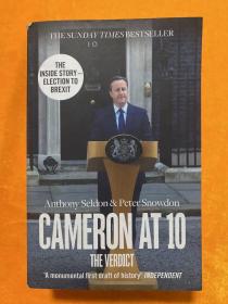 Anthony Seldon and Peter Snowdon：CAMERON AT 10