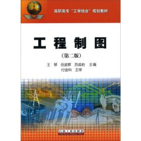 工程制图(第2版)/高职高专工学结合规划教材 冶金、地质 王琴，岳波辉，苏成柏