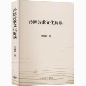 沙鸥诗歌解读 中国现当代文学理论 吴增辉 新华正版