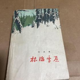 ，林海雪原(1959年版)