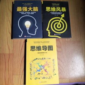 思维导图/思维风暴/最强大脑【3本合售】