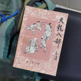 天龍八部 第一卷