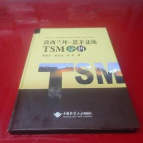 滇西兰坪-思茅盆地TSM分析