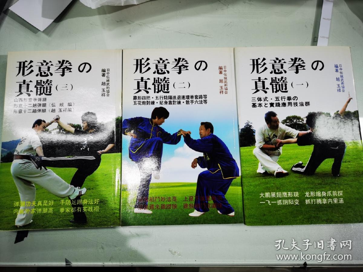 正版 形意拳真髓 3册合售日文版  赵玉祥著 车形意拳谱