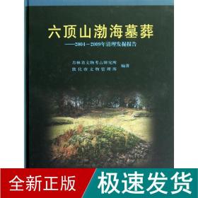 六顶山渤海墓葬/2004-2009年清理发掘报告 文物考古 王洪峰 新华正版