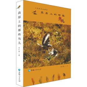 高原上的那些鸟儿 中国现当代文学 龙仁青