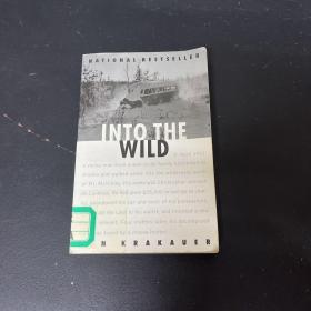Into the Wild 英文原版