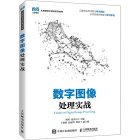 新华正版 数字图像处理实战 杨坦，张良均 9787115623850 人民邮电出版社