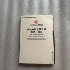 区域协同低碳发展路径与政策：溢出-反馈效应的视角