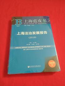 上海蓝皮书：上海法治发展报告【2019版】全新没开封