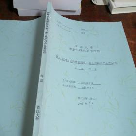 浙江大学博士后研究工作报告—网络文化消费的流变：基于代际与产品的研究（内页稍有笔迹笔划）