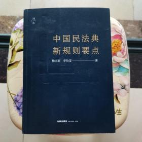 天下·中国民法典新规则要点 杨立新 ；李怡雯 法律出版社