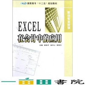Excel在会计中的应用袁咏平岳中心段悦兰南京大学出9787305094200