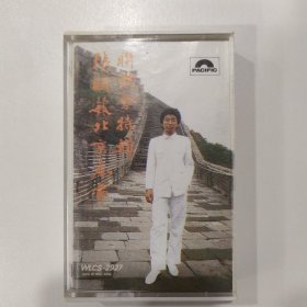 音乐磁带：春节联欢会特辑（张明敏）