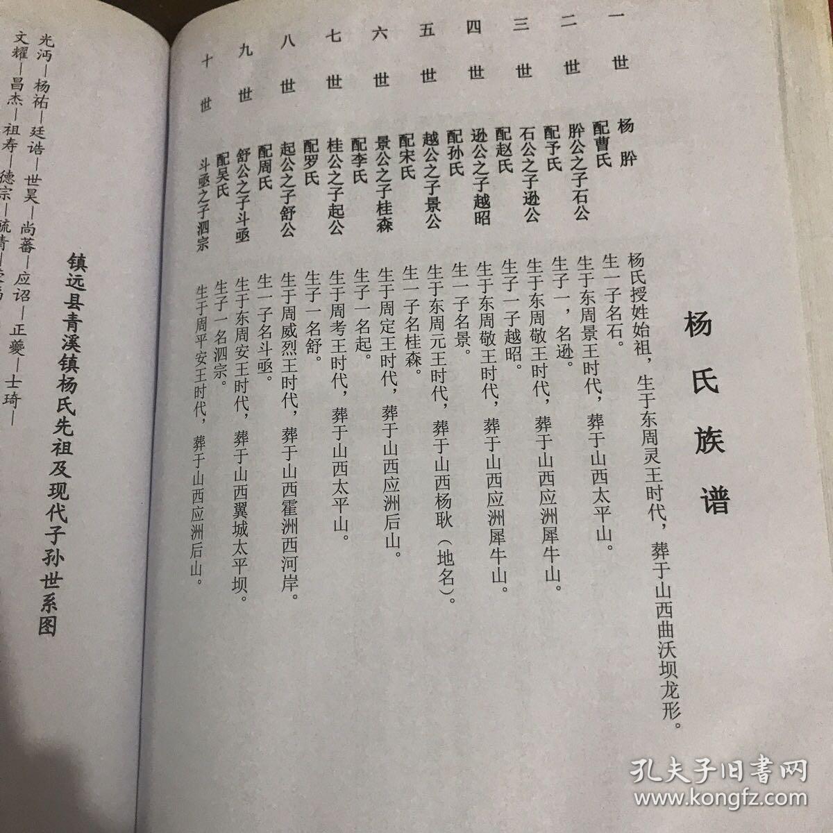 杨氏族谱四知堂