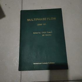 Multiphase Flow and Heat Transfer（多相流与传热：第四届多相流与传热国际会议论文集 英文版）