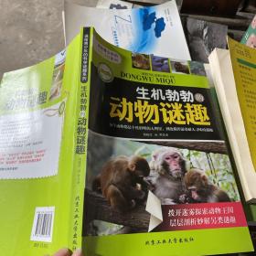 生机勃勃的动物谜趣