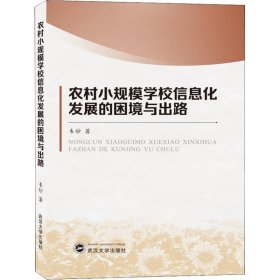 农村小规模学习信息化发展的困境与出路 9787307119536 韦妙 武汉大学出版社