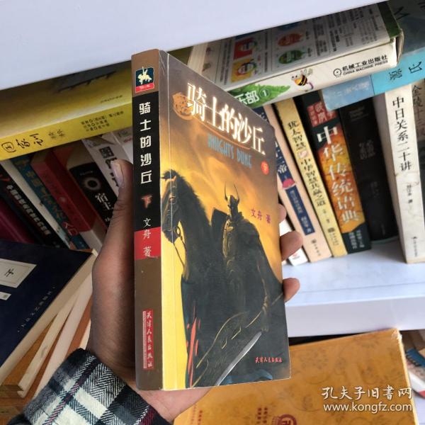 骑士的沙丘(下)