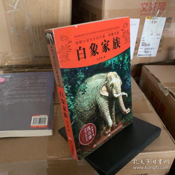 动物小说大王沈石溪品藏书系：白象家族沈石溪 著 浙江少年儿童出版社 20