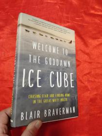 Welcome to the Goddamn Ice Cube: Chasing Fear and Finding Home in the Great White North  （小16开，硬精装 ）【详见图】