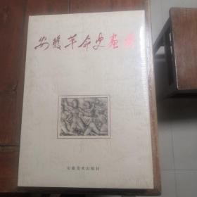 安徽革命史画册（超大厚重）（未拆封）（包快递）