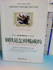 钢铁是怎样炼成的
