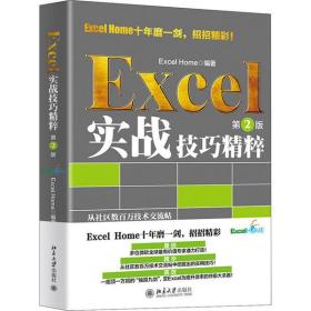 全新正版 Excel实战技巧精粹（第2版） ExcelHome 9787301314012 北京大学出版社