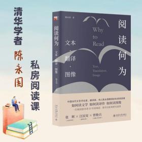 阅读何为 文本·翻译·图像陈永国北京大学出版社