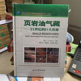 頁巖油氣藏