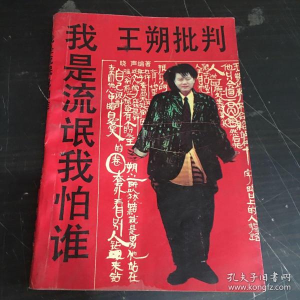 我是流氓我怕谁:王朔批判