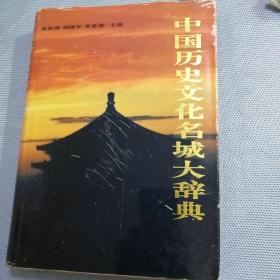 中国历史文化名城大辞典（上）