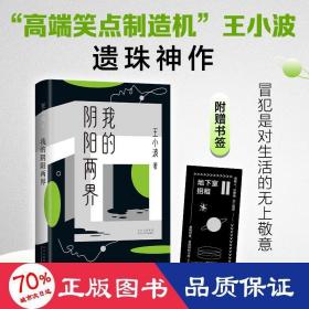 我的陰陽兩界 中國現當代文學 王小波 新華正版