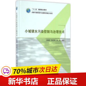 保正版！小城镇水污染控制与治理技术9787112197057中国建筑工业出版社王晓昌 等 编著