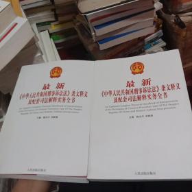 最新《中华人民共和国刑事诉讼法》条文释义及配套司法解释实务全书上下 (北4-1)