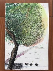 钢笔水彩画，出版物插图，小的8开。