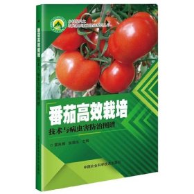 全新正版番茄高效栽培技术与病虫害防治图谱/乡村振兴之农民素质教育提升系列丛书9787511641113