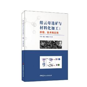 【正版新书】 绢云母选矿与材料化加工：原理、技术和应用 丁浩等 中国建材工业出版社