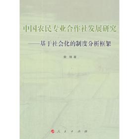 中国农民专业合作社发展研究——基于社会化的制度分析框架